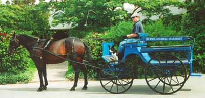 Carriage Wine Tour, Wellington, New Zealand